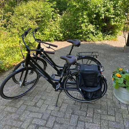 Апартаменты B&B Lekkerkerk Леккеркерк