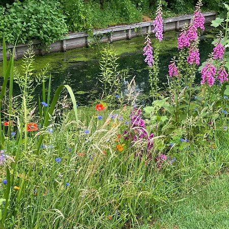 شقة B&B Lekkerkerk *
