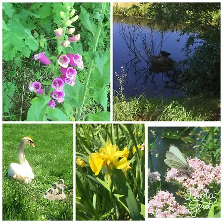 Апартаменты B&B Lekkerkerk *