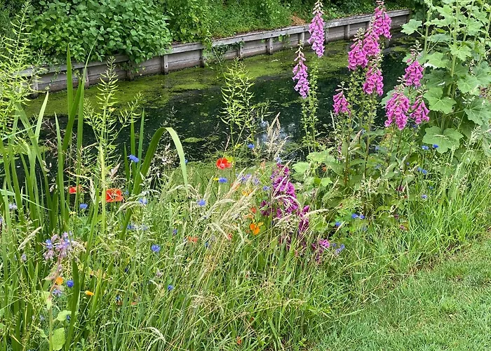 Apartment B&B Lekkerkerk *