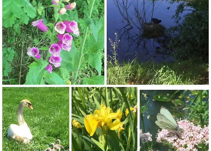 شقة B&B Lekkerkerk *