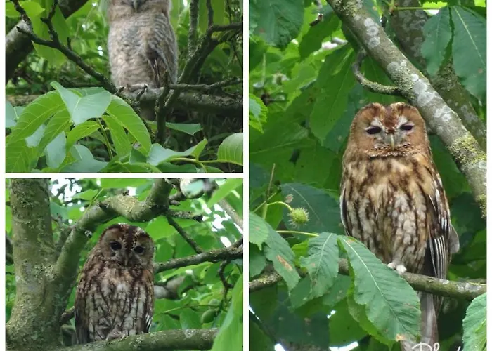 Apartment B&B Lekkerkerk